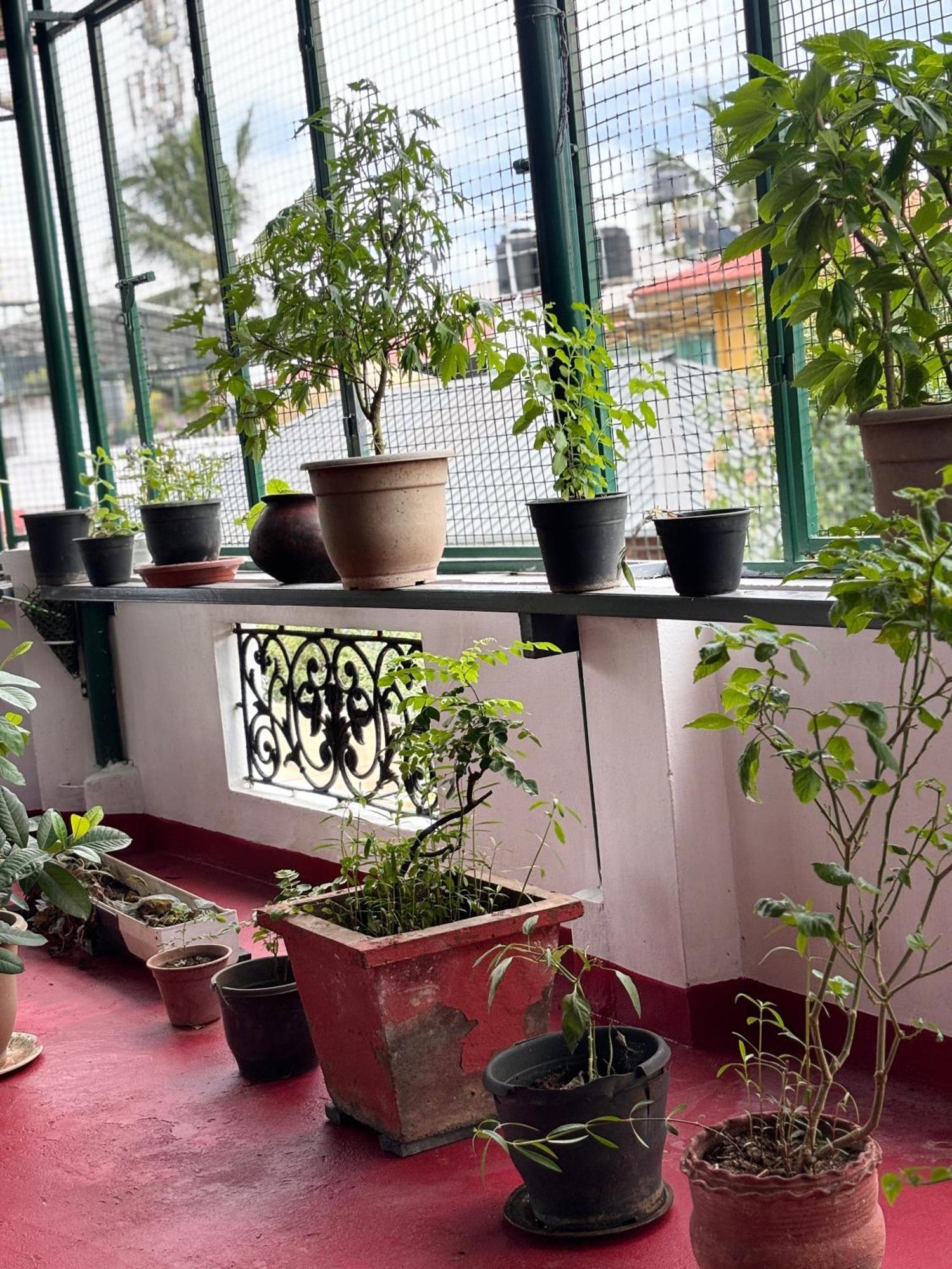 Beza Homestay Kochi Exterior foto